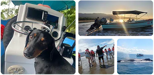 About-us-Whale-watching-Uvita-Get-to-know-us Whale Tour Uvita Costa Rica tour