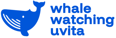 Whale Watching Uvita